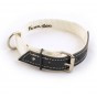 COLLIER CHIEN