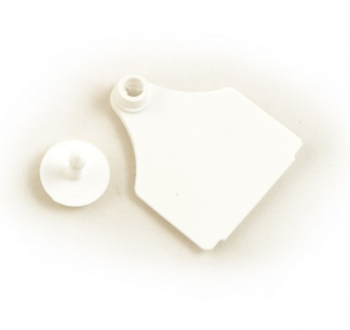 BOUCLE LARGE + BOUTON