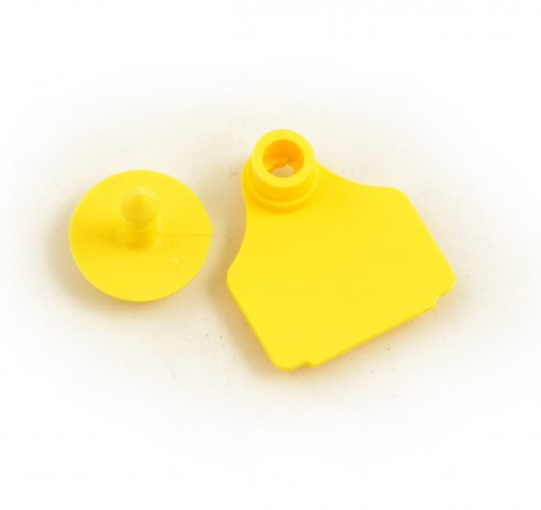 BOUCLE PETITE + BOUTON