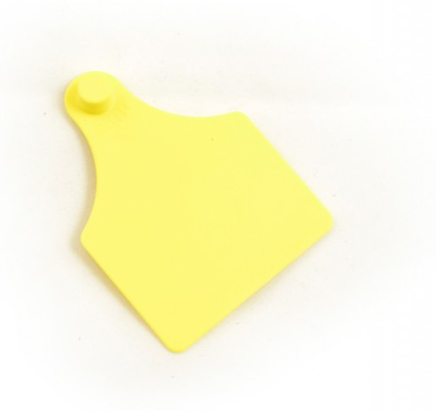 BOUCLE SUPER MAXI FEMELLE