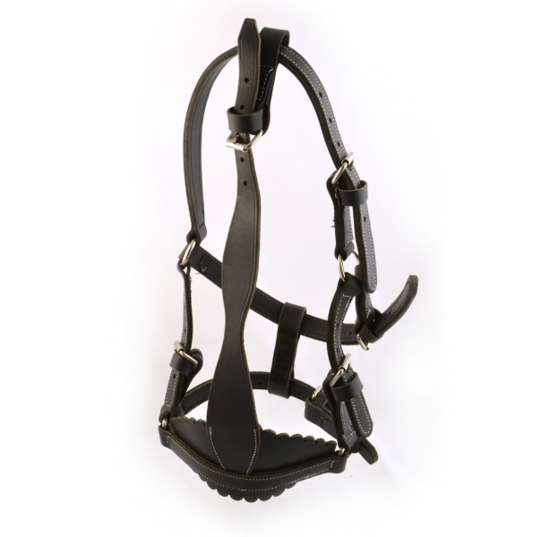 Licol En Nylon Pour Vache, Cheval, Chèvre - Réglable, Robuste, Avec Corde De Guidage 2.75m - 11